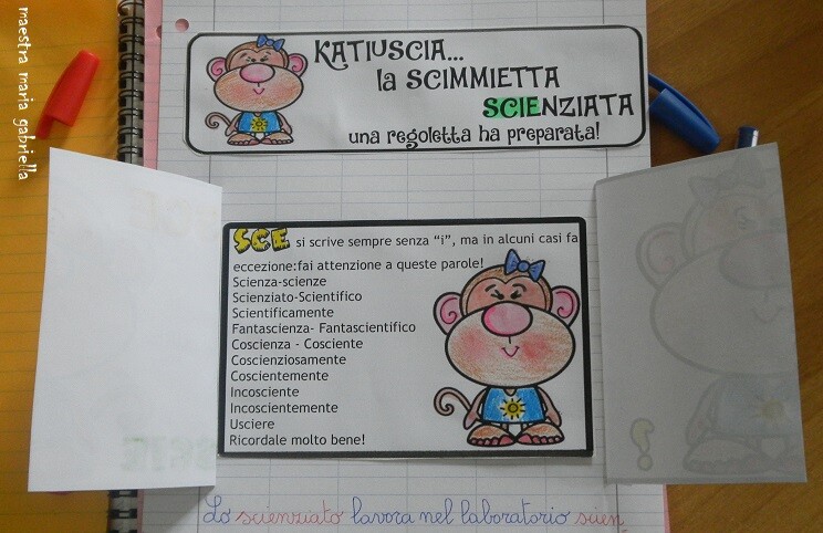 SCI, SCE, SCIE:tante schede interattive!