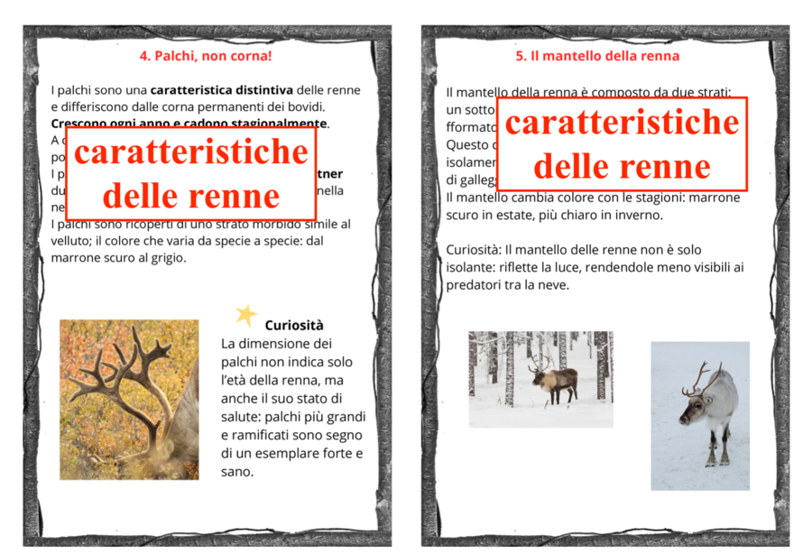 Tra natura e matematica; 11 carte per conoscere le renne con due opzioni per la didattica a stazioni(matematica/italiano) cl: III/V