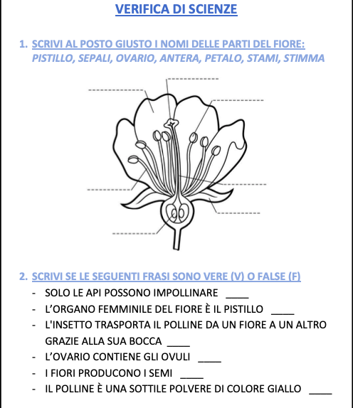 VERIFCA SCIENZE FIORE E FRUTTO