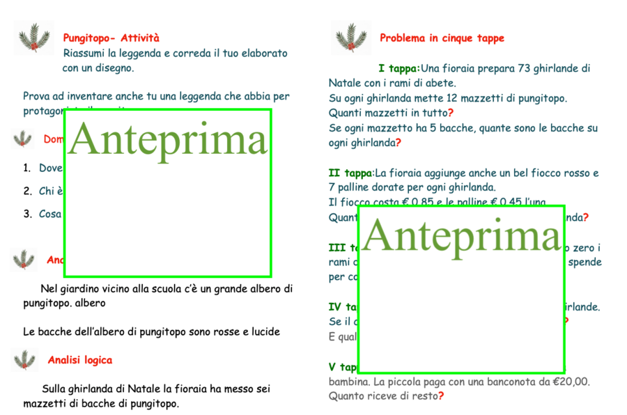 Natale tra piante e fiori-le piante simbolo del Natale- un percorso tra botanica, leggende e attività multidisciplinari