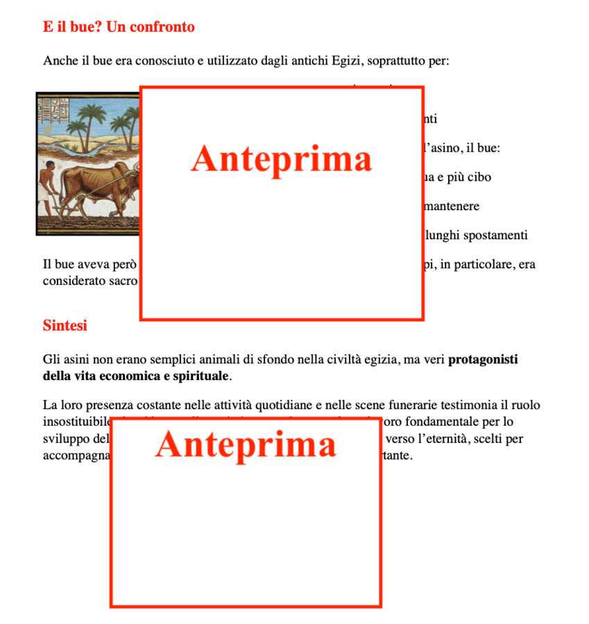 Gli asini nell’Antico Egitto: un percorso di storia tra fonti e leggende con attività per la rielaborazione