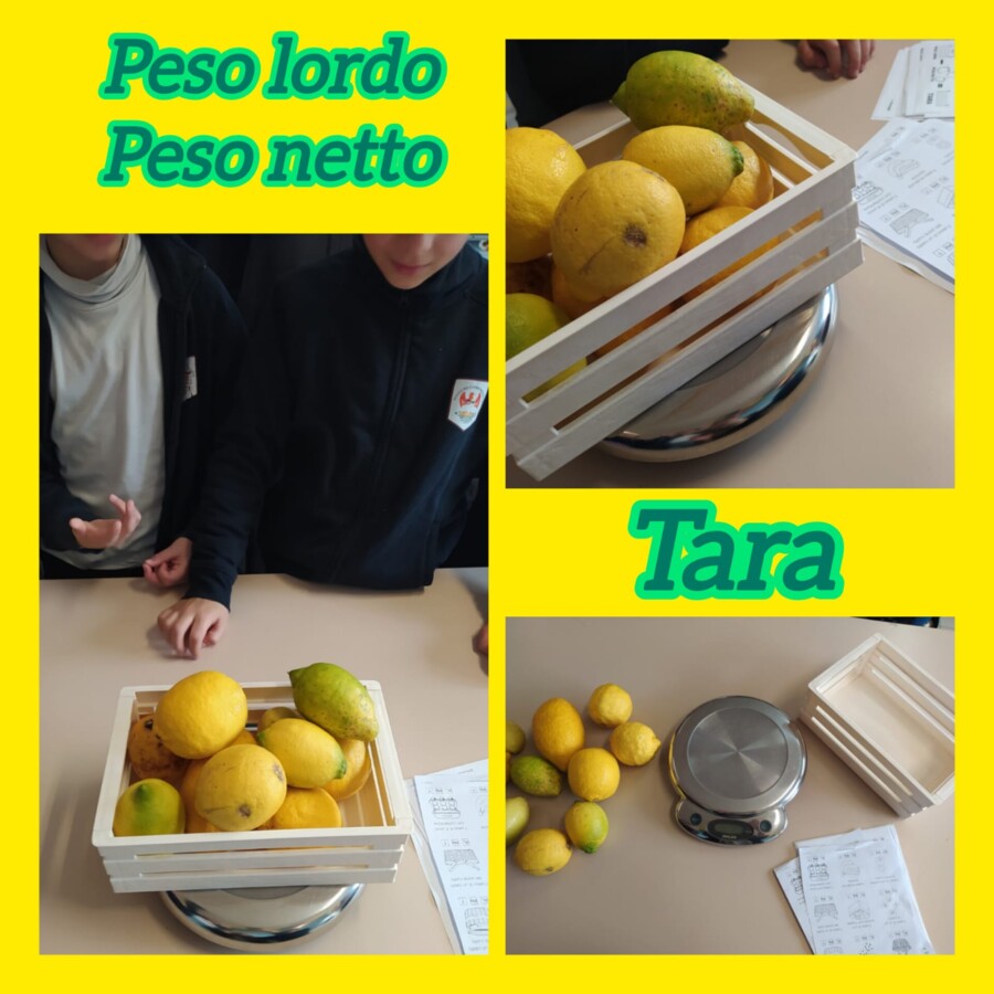 Peso netto, lordo e tara con i limoni!