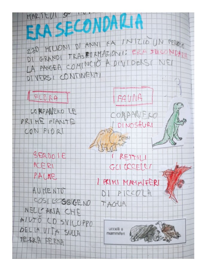 QUADERNO DI STORIA per la classe 3^ con kit di schede sui dinosauri, linea del tempo e ominidi