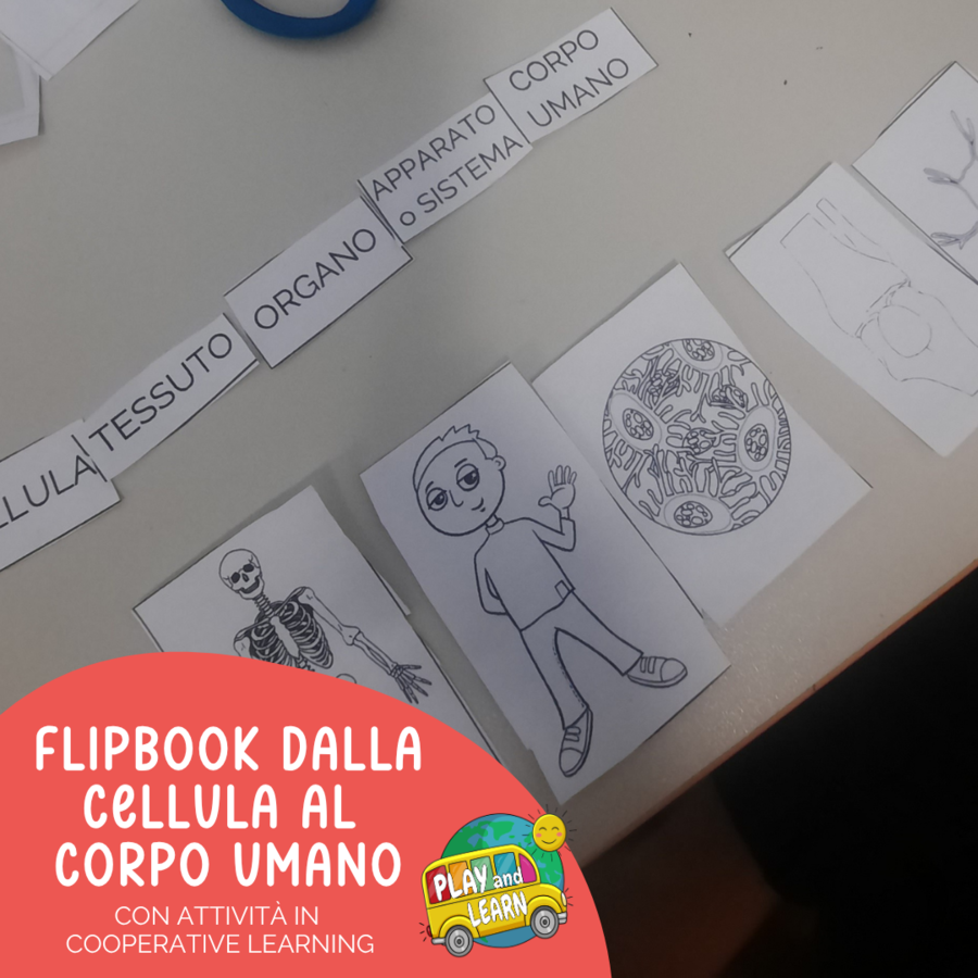 FLIPBOOK - DALLA CELLULA AL CORPO UMANO