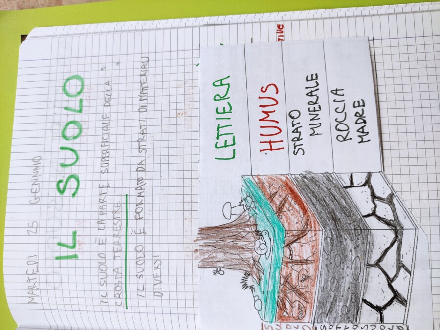 QUADERNO DI SCIENZE classe 3^ - per tutto l'anno scolastico -