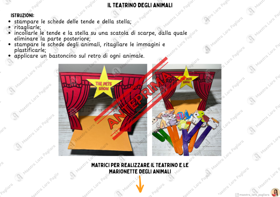 The pets show - animali in inglese (classe prima)