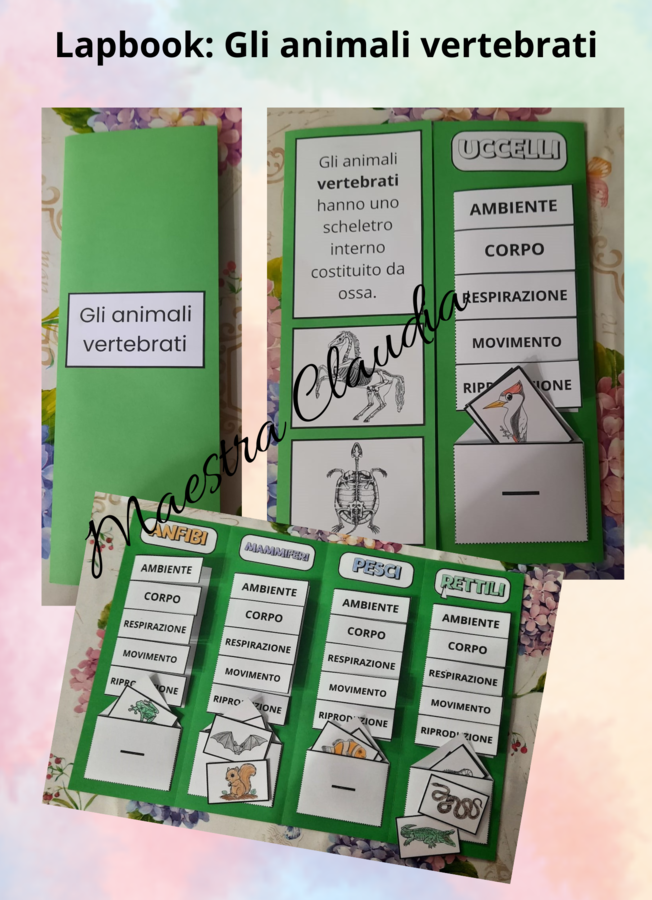 Lapbook: gli animali vertebrati