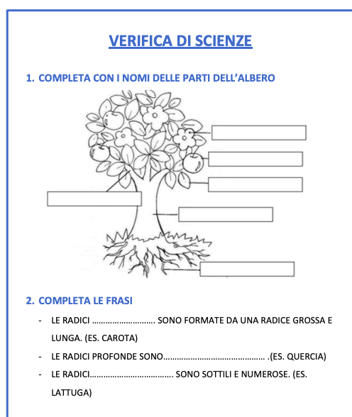 VERIFICA PIANTA E FOGLIE
