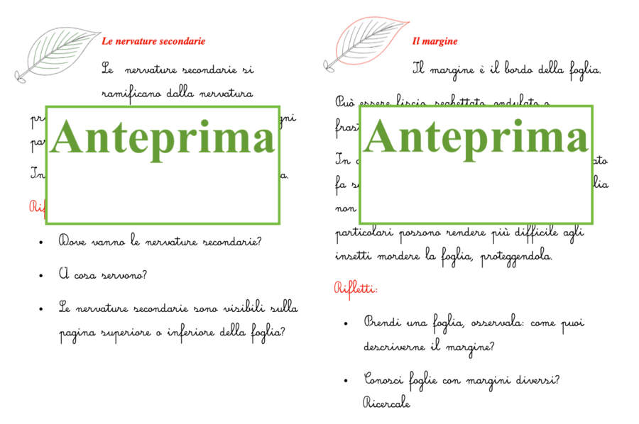 Percorso per piccoli botanici; nomenclatura della foglia + libretto per l'ampliamento