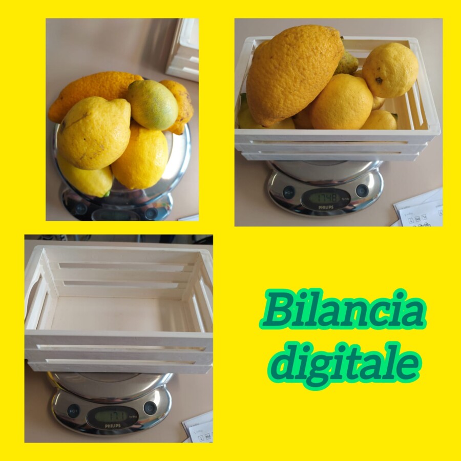 Peso netto, lordo e tara con i limoni!