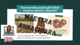 Habitat a rischio