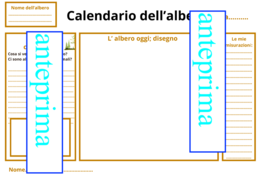 Il calendario degli alberi
