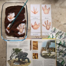 Carte Nomenclatura DINOSAURI, carte tipo Montessori