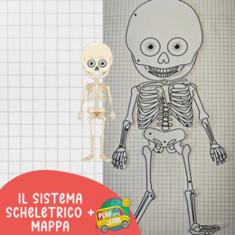 IL SISTEMA SCHELETRICO in tre versioni + mappa da completare