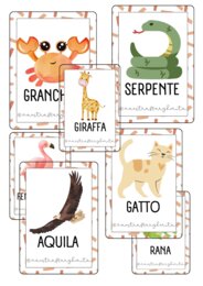 Cards degli animali