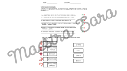 Apparati digerente, cardiocircolatorio e respiratorio - verifica (standard/BES) e schema riassuntivo
