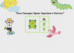 Associazione visiva animali-ombre