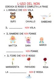 L'USO DEL NON