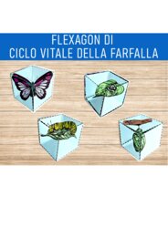 flexagon di ciclo vitale della farfalla