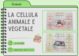 CELLULA ANIMALE E VEGETALE MODELLO APRIBILE