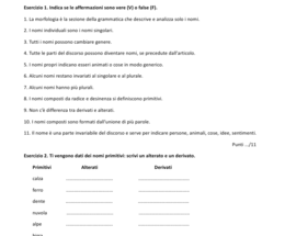 Schede didattiche e di verifica sugli aggettivi e i nomi