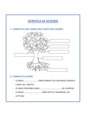 VERIFICA PIANTA E FOGLIE