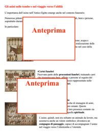 Gli asini nell’Antico Egitto: un percorso di storia tra fonti e leggende con attività per la rielaborazione