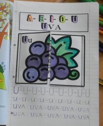 Vocale U di UVA