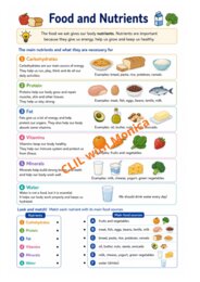 CLIL Science The Human Body classe 5^