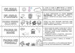 L'ambiente mare - SCHEMA CLIMA - FLORA - FAUNA