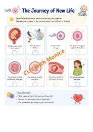 CLIL Science The Human Body classe 5^