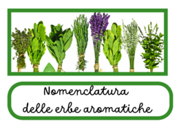 Nomenclatura arricchita delle erbe aromatiche