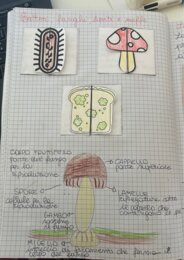 Quaderno completo di scienze classe quarta