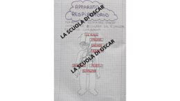 L'APPARATO RESPIRATORIO - QUADERNO DI SCIENZE CL. 5^ -