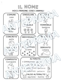 Il nome - mappa di sintesi