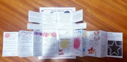 MAXI BUNDLE Lapbook dei Testi: Narrativo, Poetico, Descrittivo