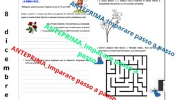 Immacolata concezione - 8 dicembre