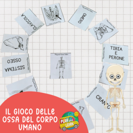 PACCHETTO CORPO UMANO