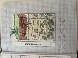 Quaderno completo di scienze classe quarta