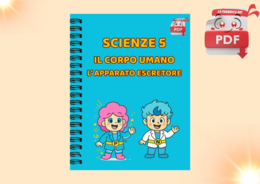 LA FABBRICA DEI PDF - Scienze 5: l'apparato escretore