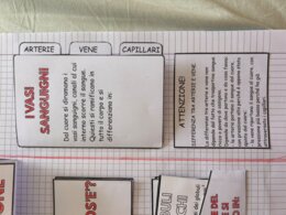 APPARATO CARDIACO - MODELLO APRIBILE