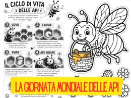 GIORNATA MONDIALE DELLE API . SCHEDE DIDATTICHE DIVERTENTI