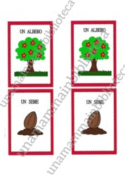 Ci vuole un fiore ( Campo d'esperienza : i Discorsi e le Parole)