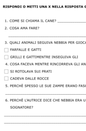 Lettura e comprensione: testi semplificati per la primaria, adatti anche ad alunni con PDP e PEI– Inclusione, autonomia e divertimento in ogni pagina.