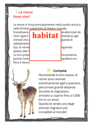 Tra natura e matematica; 11 carte per conoscere le renne con due opzioni per la didattica a stazioni(matematica/italiano) cl: III/V