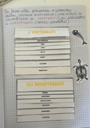 Quaderno completo di scienze classe quarta