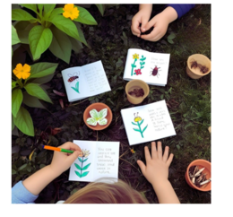 Natura e creatività- scuola primaria