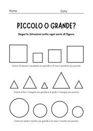 I MIEI PRIMI CONCETTI DI BASE • 6 Schede Operative Mirate di Logica, Grandezze e Quantità (Infanzia e Sostegno)