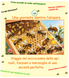 Una giornata all'interno dell'alveare per scoprire il mondo delle api a 360°