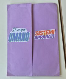 Lapbook "Sistemi e apparati del corpo umano" - classe quinta primaria